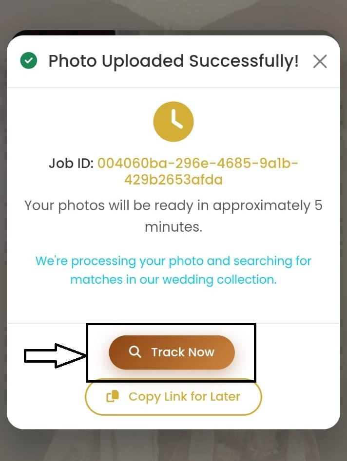 Step 6: Click Track Now